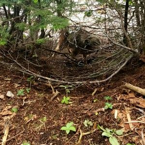 Meet your Posher, Jared